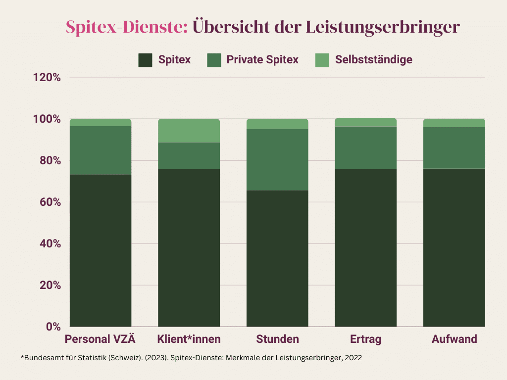 Spitex Dienste Übersicht der Leistungserbringer