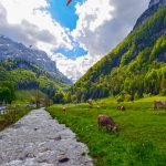 Unsere Standorte Pflegewegweiser Appelzell Innerrhoden